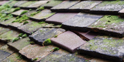 Akeley roof repair costs